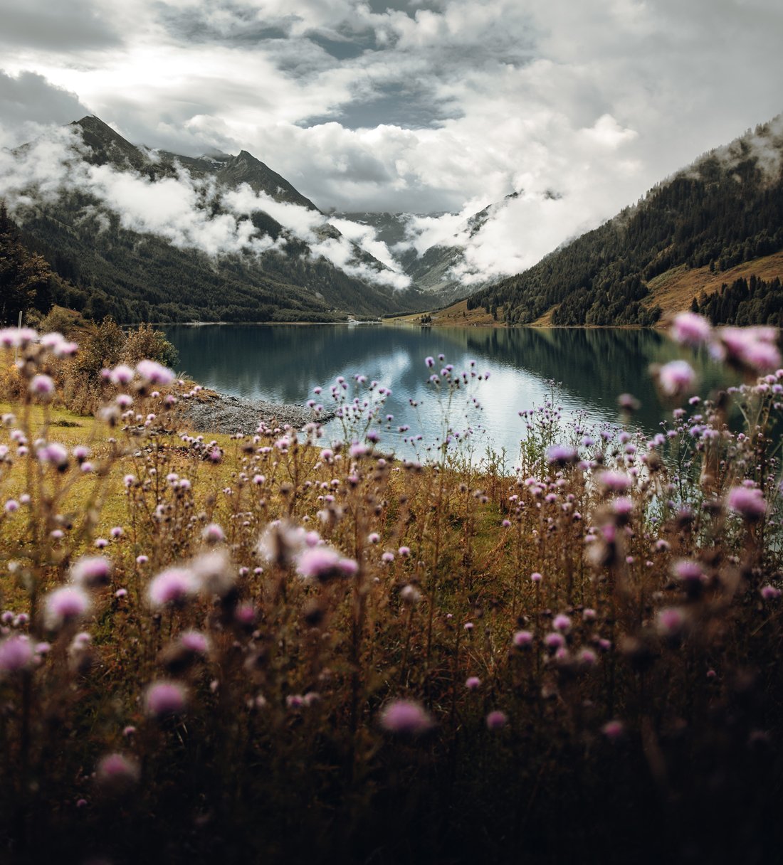 Nature's finest ingredients