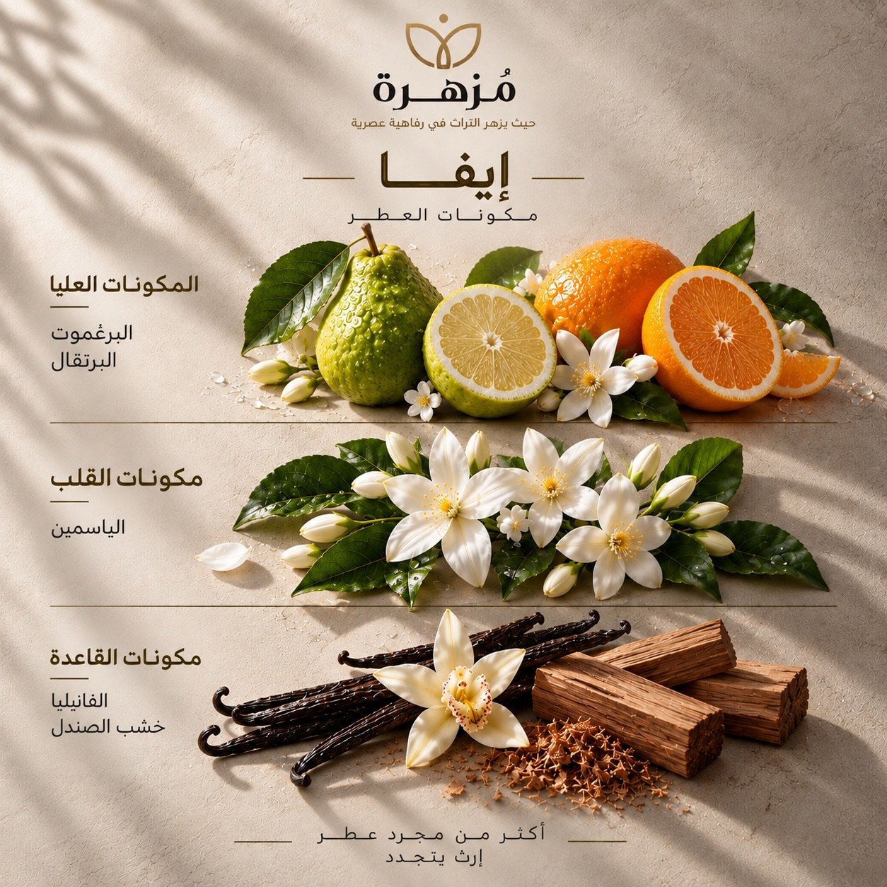 عطر إيڤا — أو دو بارفان — مكونات العطر
